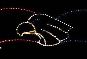 Eagle and stars light display