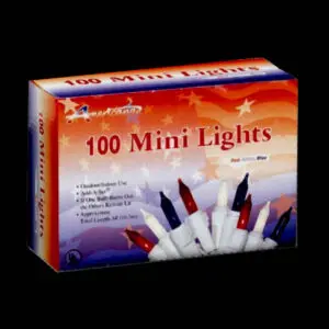 Indoor outdoor mini light set