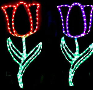 Illuminated tulips with green stems