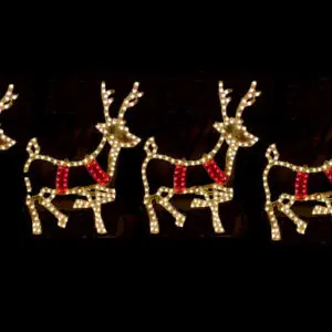 Santa and reindeer Christmas light display