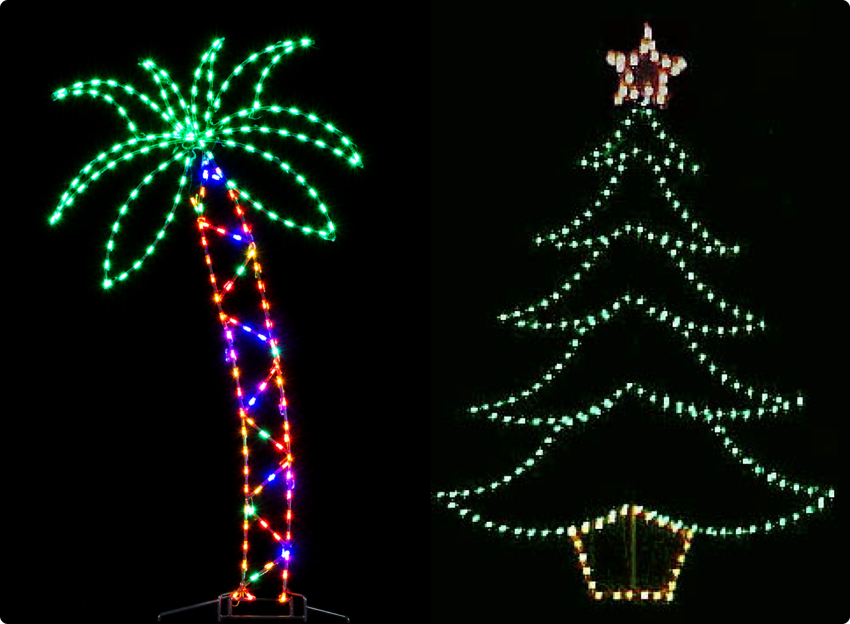 Colorful illuminated palm and Christmas tree