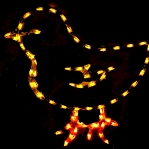 Illuminated bird decoration at night